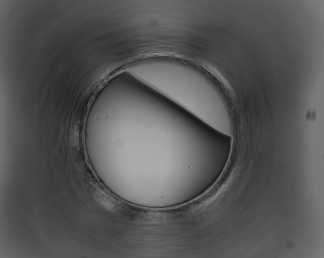 X0000090410777200707130924