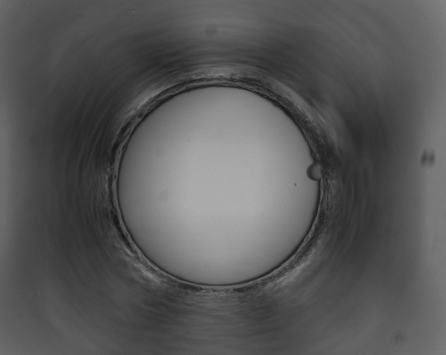 X0000090410778200707130924