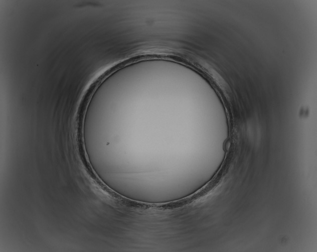 X0000090410779200707130924