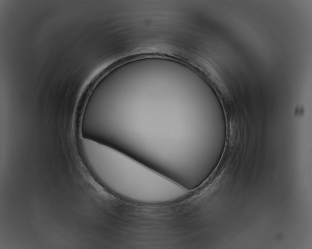 X0000090410780200707130924