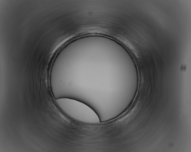 X0000090410782200707130924
