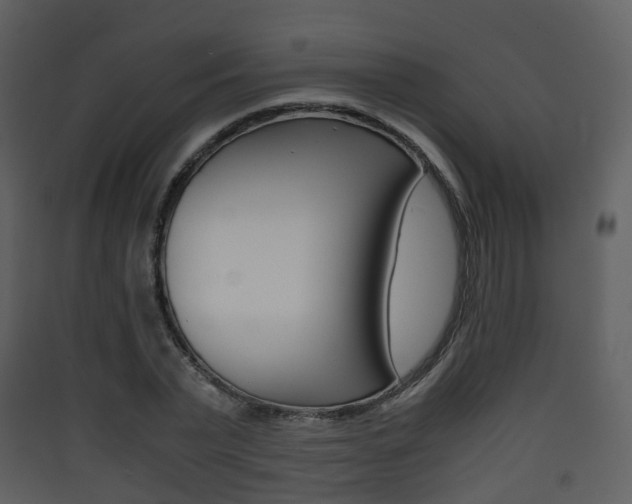 X0000090410783200707130924