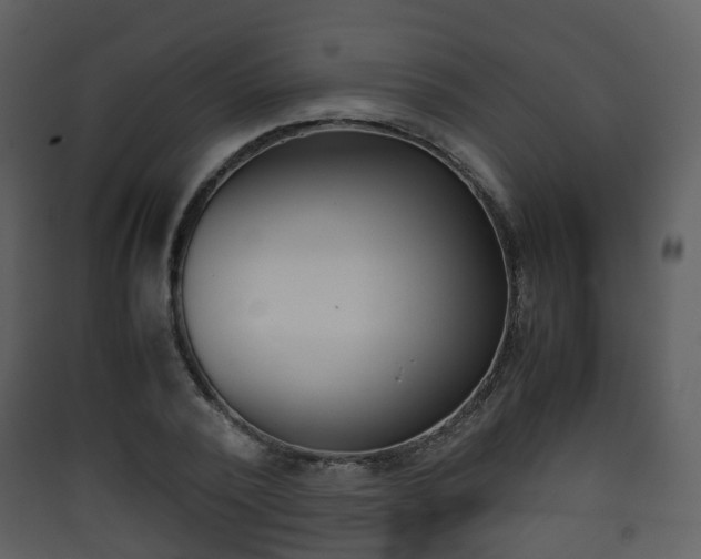 X0000090410784200707130924