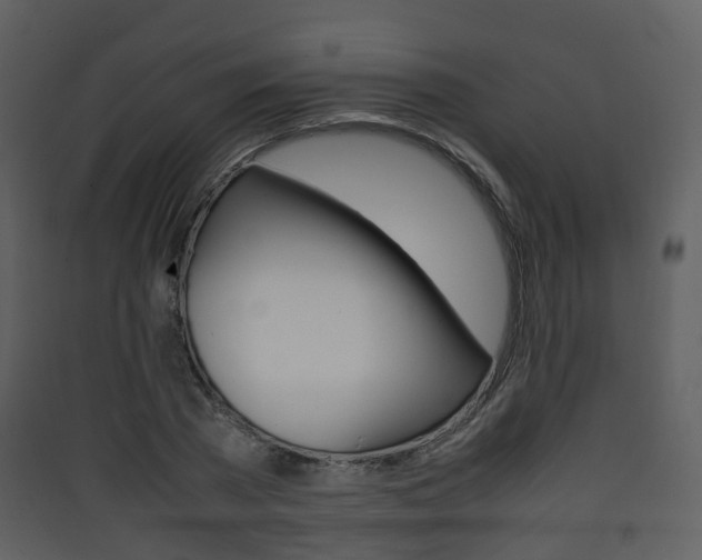 X0000090410785200707130924