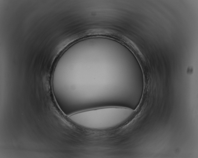 X0000090410786200707130924
