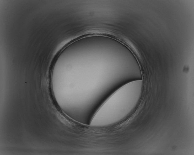 X0000090410787200707130924