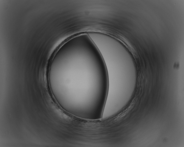 X0000090410788200707130924