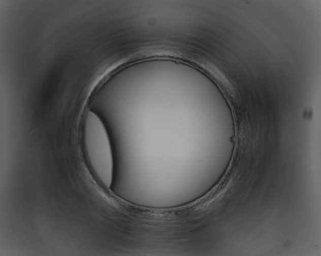 X0000090410790200707130924