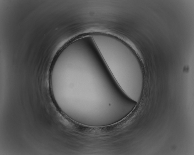 X0000090410791200707130924