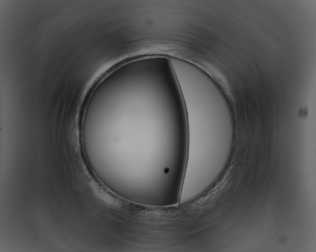 X0000090410792200707130924