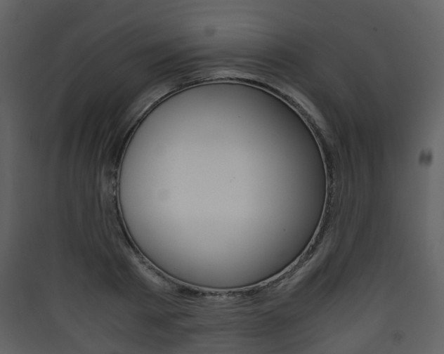 X0000090410793200707130924