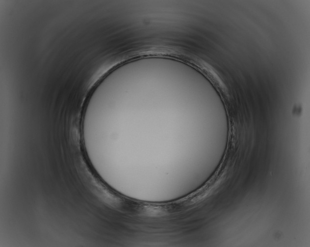 X0000090410794200707130924