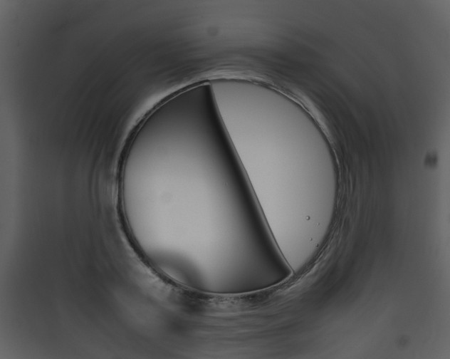 X0000090410795200707130924