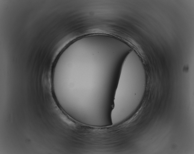 X0000090410796200707130924