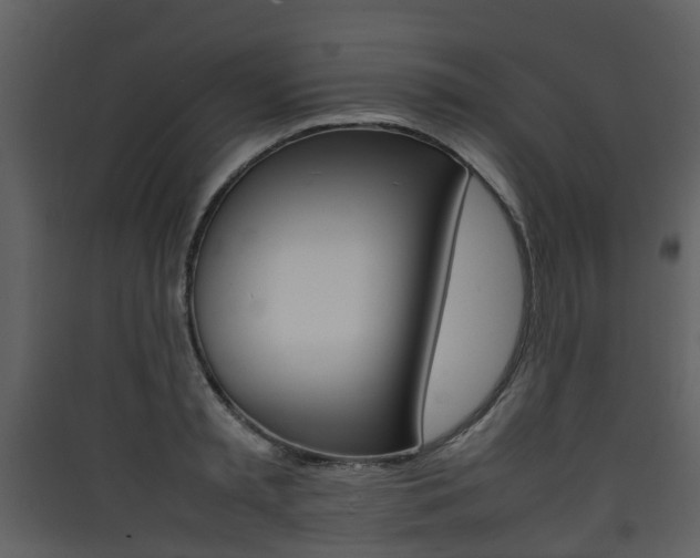 X0000090410797200707130924