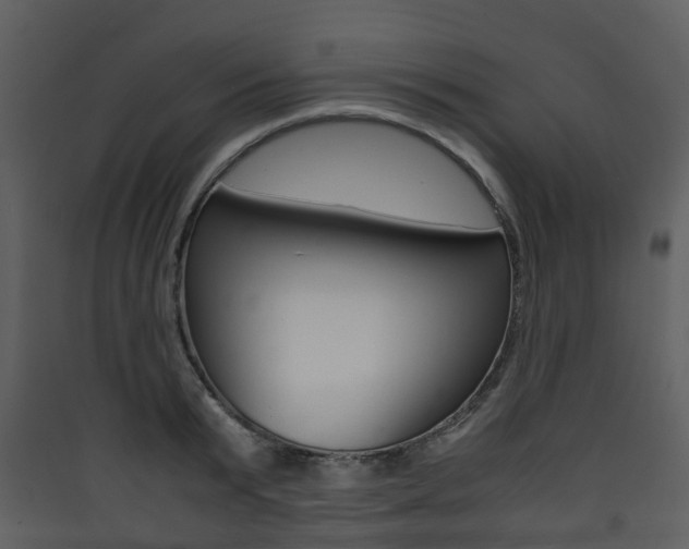 X0000090410799200707130924
