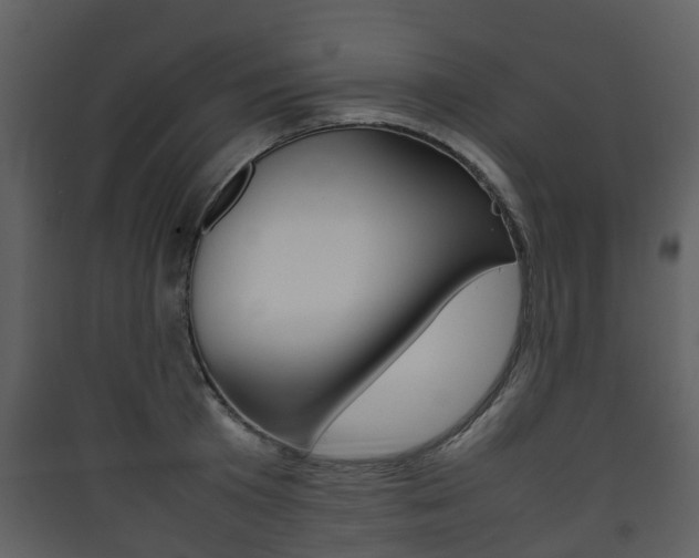 X0000090410801200707130924
