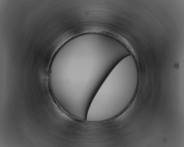 X0000090410802200707130924