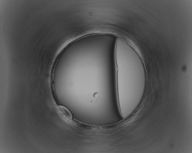 X0000090410803200707130924