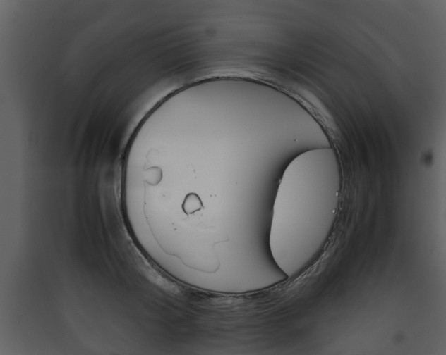 X0000090410804200707130924