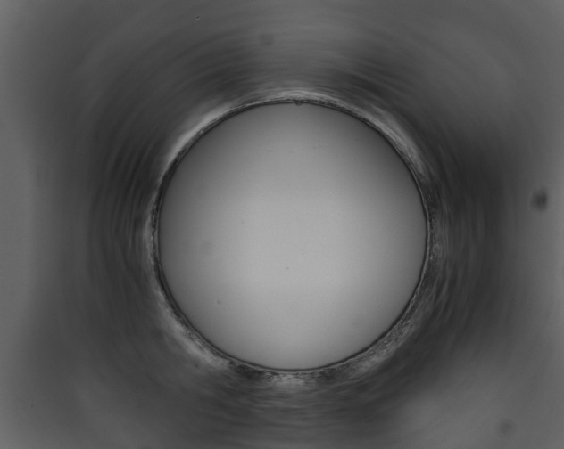 X0000090410806200707130924