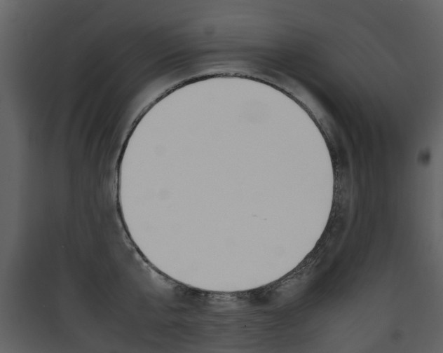X0000090410807200707130924