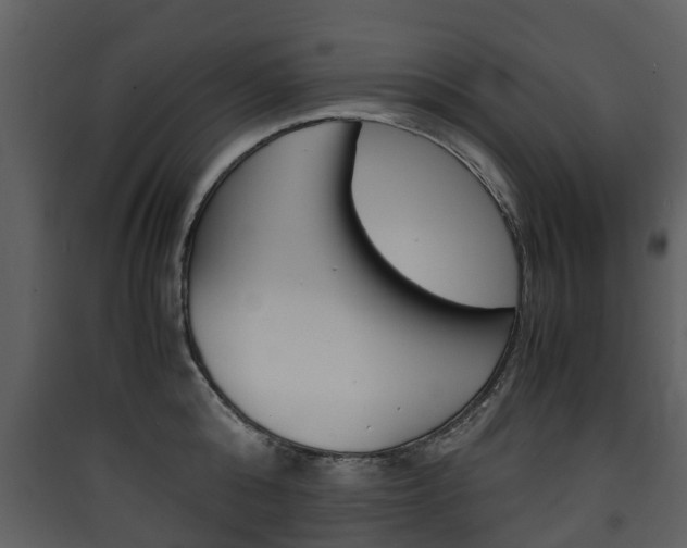 X0000090410808200707130924