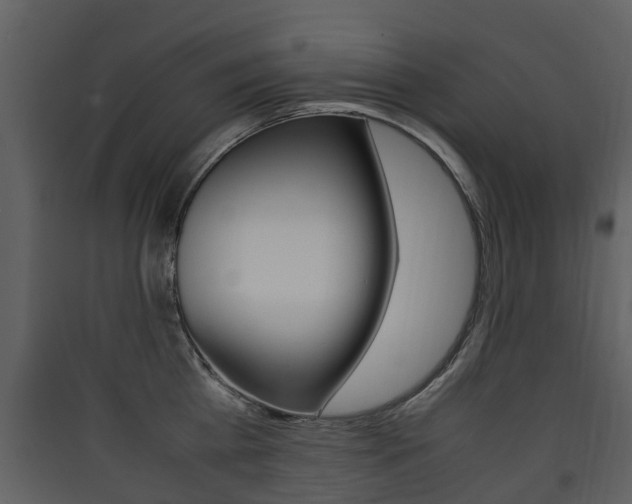 X0000090410809200707130924
