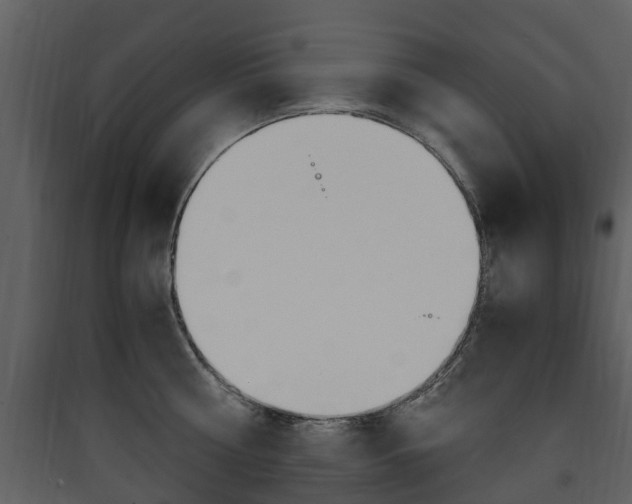 X0000090410810200707130924