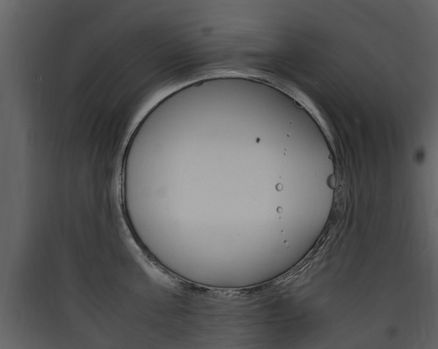 X0000090410811200707130924