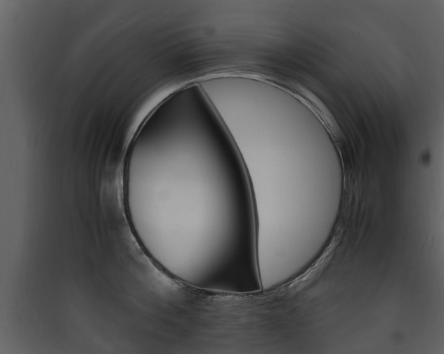 X0000090410812200707130924
