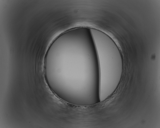 X0000090410815200707130924