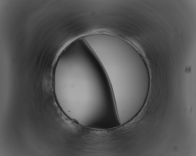X0000090410816200707130924