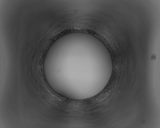 X0000090410817200707130923