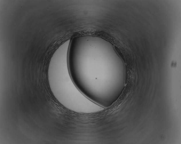X0000090410818200707130923