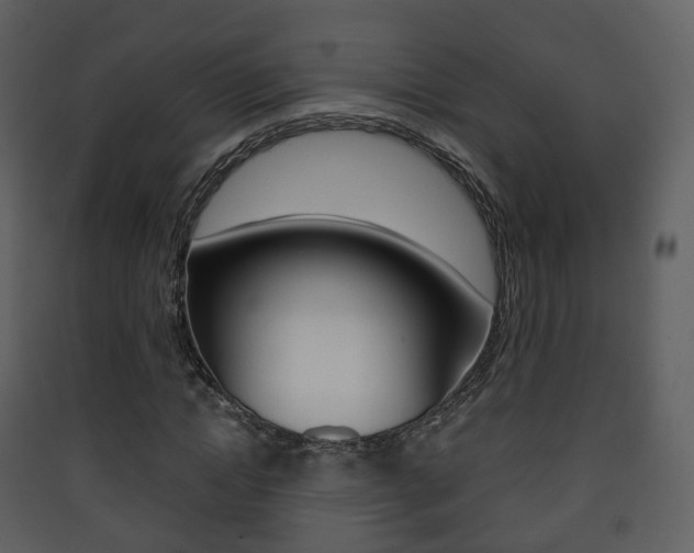 X0000090410822200707130923