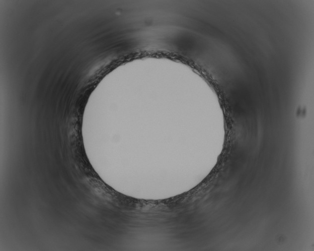 X0000090410824200707130923