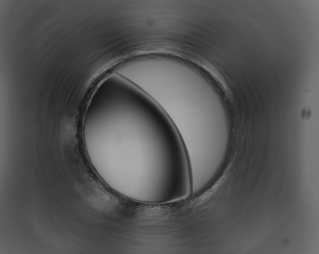 X0000090410826200707130923