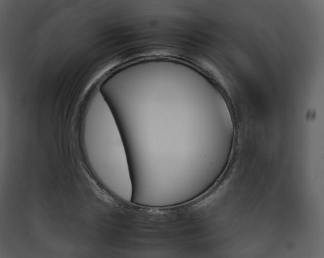 X0000090410827200707130923