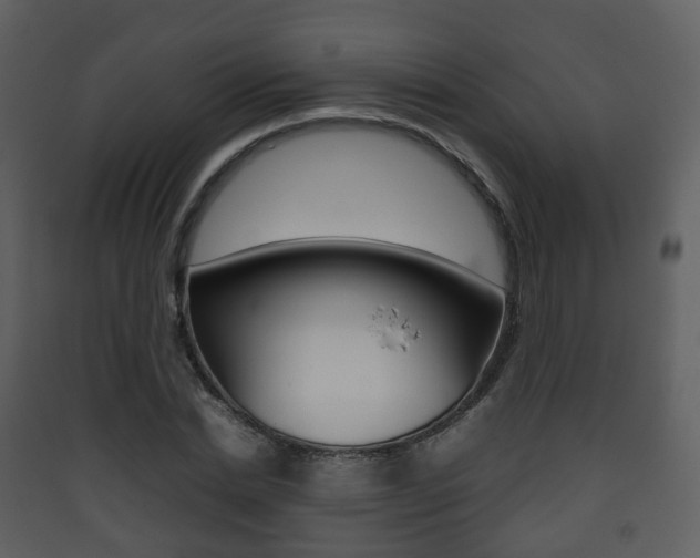 X0000090410830200707130923