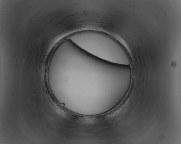 X0000090410831200707130923