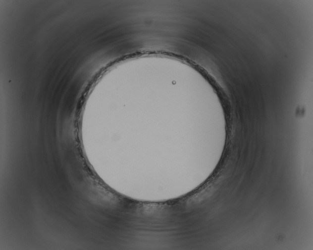 X0000090410832200707130923