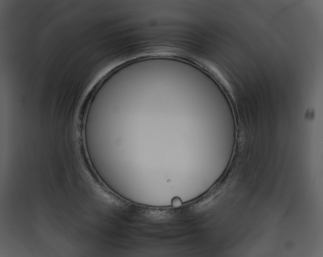 X0000090410835200707130923