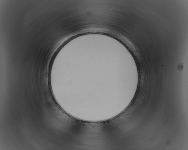 X0000090410836200707130923