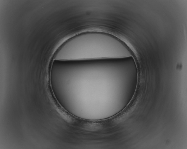 X0000090410837200707130923