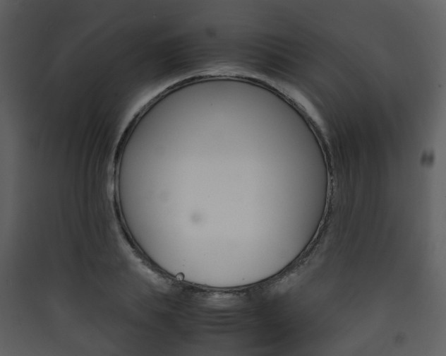 X0000090410839200707130923