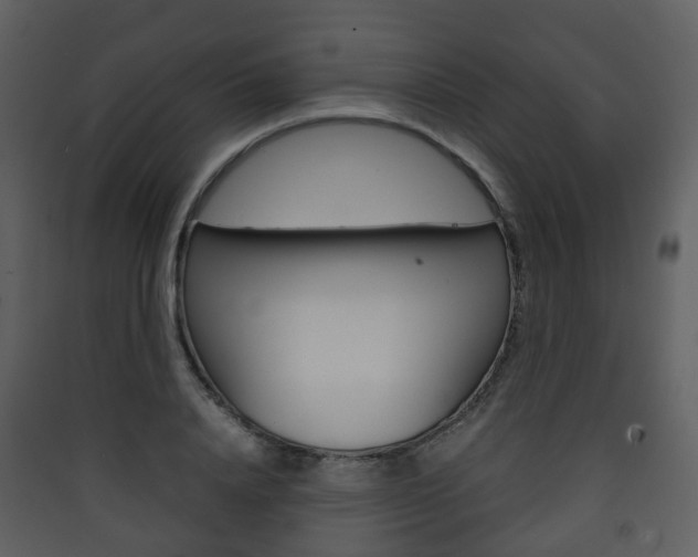 X0000090410840200707130923