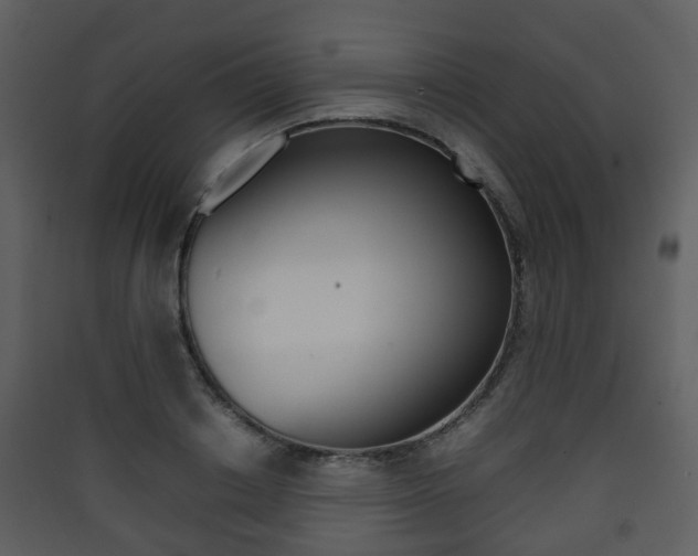 X0000090410842200707130923