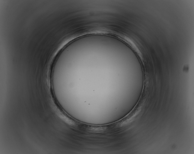 X0000090410843200707130923