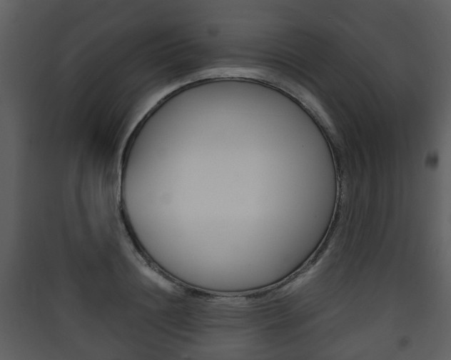 X0000090410844200707130923